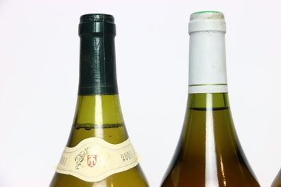 null 1 bouteille de ARBOIS blanc 2001, MICHEL TISSOT.
1 bouteille de ARBOIS blanc...