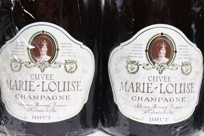 null 5 bottles of white CHAMPAGNE BRUT NM, BERNARD BREUZON. A bottle of watery wine....