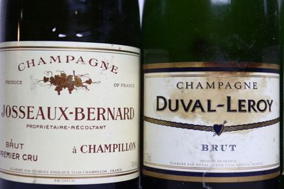 null 1 bottle of CHAMPAGNE BRUT blanc NM, JOSSEAUX-BERNARD.
1 bottle of CHAMPAGNE...