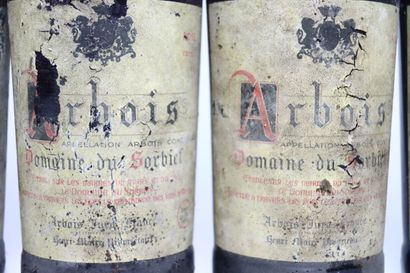null 5 bottles of red ARBOIS 1992, DOMAINE DU SORBIEF.
2 bottles of red ARBOIS, vintage...