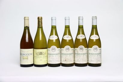 1 bottle BOURGOGNE blanc 1999, LUGNY L'AURORE.
1...