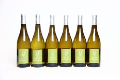 6 bottles of BOURGOGNE blanc 2019, DOMAINE...