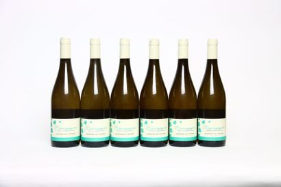 6 bouteilles de BOURGOGNE blanc 2019, DOMAINE...