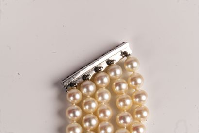 null Bracelet holding five rows of white cultured pearls (untested) interspersed...