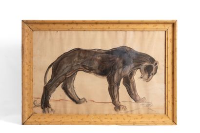  PAUL JOUVE (1878-1973), IN THE STYLE OF 
Panther
heightened drawing.
Signed lower... Gazette Drouot