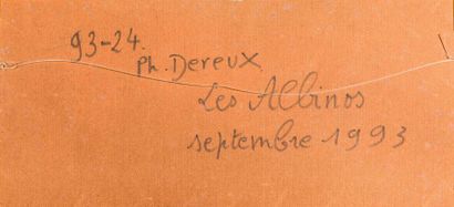Philippe DEREUX (1918-2001) Les albinos

Technique mixte (épluchures, écorces et...