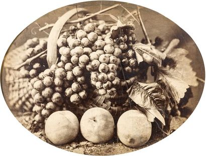 Eugène CHAUVIGNÉ (1837-après 1894) Nature morte aux fruits, c. 1875.

Épreuve sur...