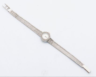 null Bracelet montre de dame en or gris 18 carats (750 millièmes), le boîtier rond...