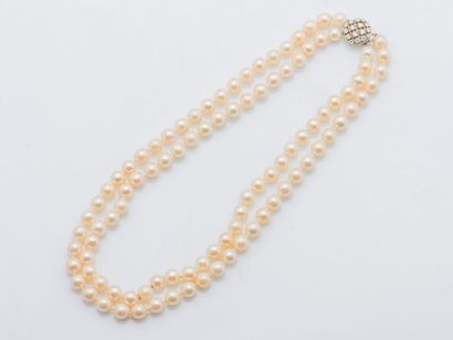 null Double-row necklace of choker cultured pearls, round ratchet clasp in 18 karat...