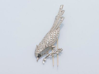 null Broche oiseau en or gris 18 carats (750 millièmes) et platine (950 millièmes)...