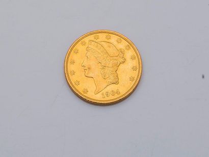 null 

20 US Dollars Liberty head 1904 

Weight: 33.3 g