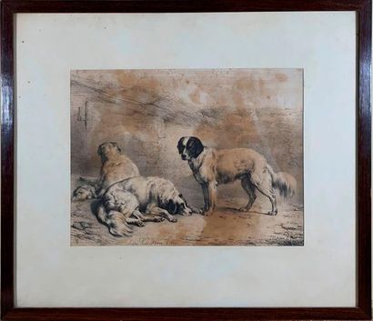 Eugène VERBOECHOVEN (1798 – 1881) Spaniels 


Ink and charcoal on paper, signed lower...