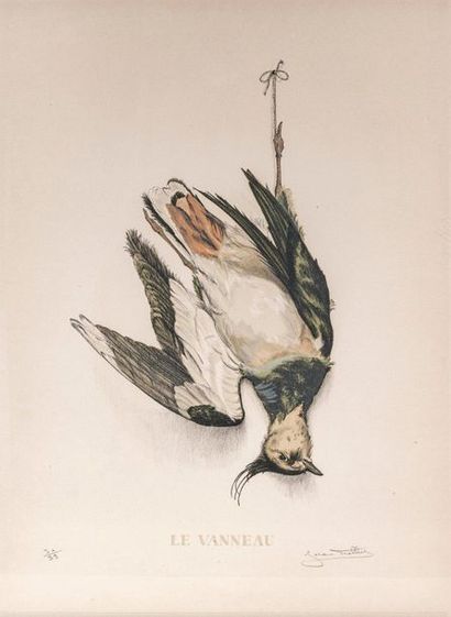 Jérôme TROLLIER (XXème siècle) The Lapwing 

Colour lithography 

Signed and numbered...