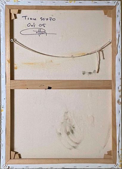 Nicolas COTTON (XX - XXIème siècle) "Tracks" and "Moons"

Oils on canvas signed on...