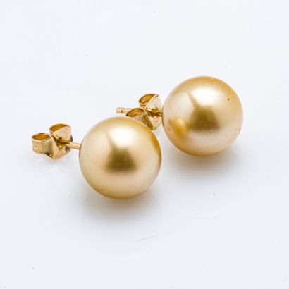 null Paire de puces d'oreilles en or jaune 18 carats (750 millièmes) serties de perles...