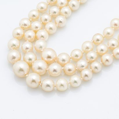 DRABKINN Georges Collier trois rangs de perles de cultures, le fermoir en or jaune...