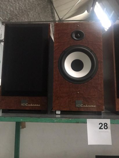 null 1 pair of CABASS speakers