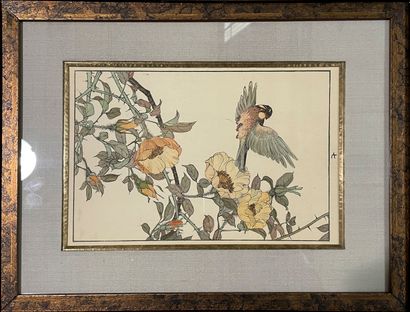 null Gravure en couleur à décor de fleurs et d'oiseaux 

23 x 32 cm (à vue)