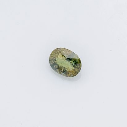 null 
Tricolor blue-green-yellow natural sapphire on 6.11 carat cushion-sized paper.

Accompanied...