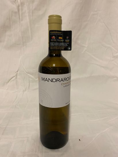 null Lot de 25 bouteilles de vin blanc 

Mendrarossa

Laguna Secca, Chardonnay, ...