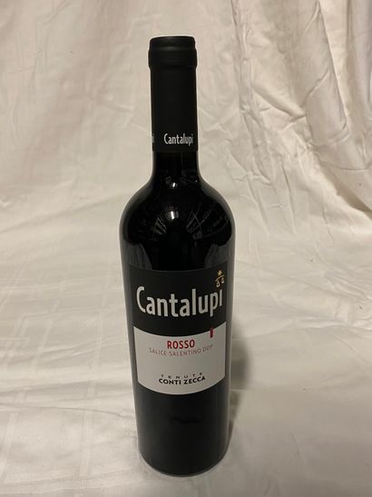 null Lot de 11 bouteilles 

Cantalupi

Conti Zecca Salice Sanlentino, 2017
