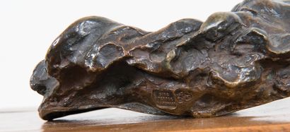 Aimé-Jules DALOU (1824 - 1910), Masque de Silène 

Epreuve en bronze à patine brune...