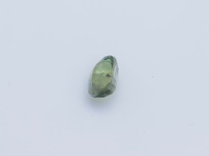 null Saphir sur papier de couleur vert, de taille ovale, pesant 1 carat environ.