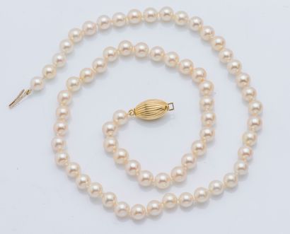 null Collier de perles de culture, le fermoir en or jaune 18 carats (750 ‰) de forme...