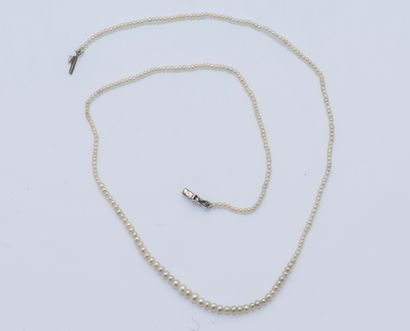 null Necklace made of a row of small pearls in fall. The most important of 0,3 mm....