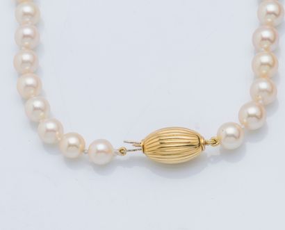 null Collier de perles de culture, le fermoir en or jaune 18 carats (750 ‰) de forme...