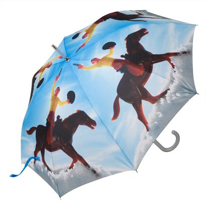 null 339 parapluies modèle Hiha Cowboy 

Prix de vente unitaire : 15 euros