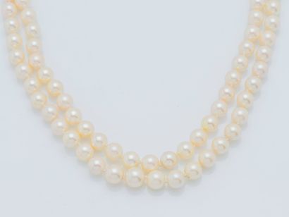  Necklace two rows of cultured pearls in fall forming a choker, rectangular clasp...