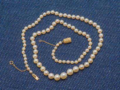 null Necklace of falling cultured pearls, the largest 8 mm. The clasp in 18K yellow...