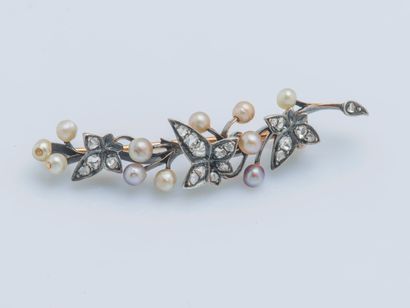 null 18K (750 ‰) yellow gold and (800 ‰) silver brooch drawing a branch of ivy, each...