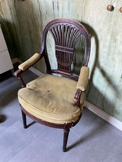 Armchair in natural wood with molding and...