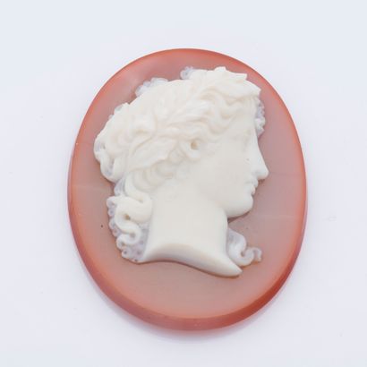 null Important camée sur agate figurant un profil de femme.

Hauteur : 5,2 cm