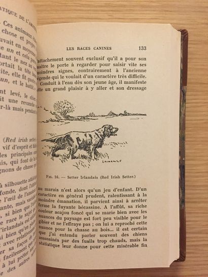 CHASSE À TIR CHASSE À TIR.— D’AMEZEUIL. La braconnière. Souvenirs de chasses. 1886.–...