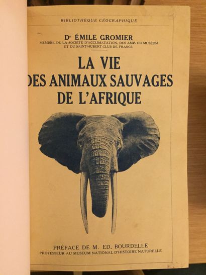 GRANDE CHASSE GRANDE CHASSE. AFRIQUE.— GROMIER. Fîl éléphant du Tchad. 1948.– La...