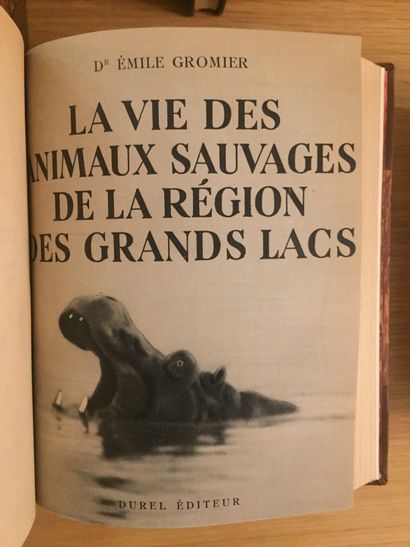 GRANDE CHASSE GRANDE CHASSE. AFRIQUE.— GROMIER. Fîl éléphant du Tchad. 1948.– La...