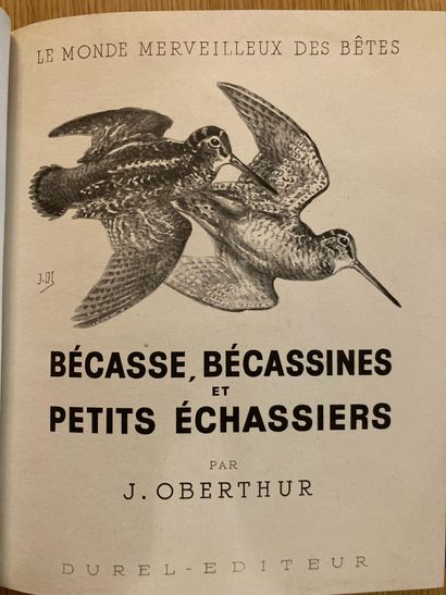 OBERTHUR OBERTHÜR. Bécasse, bécassines et petits échassiers. Paris, Durel, 1948 ;...