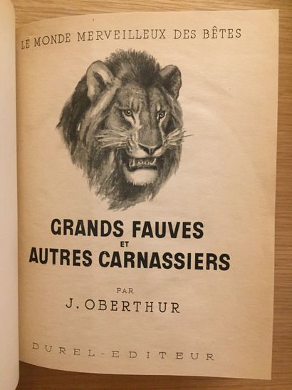 GRANDE CHASSE GRANDE CHASSE. AFRIQUE.— WEITÉ. Chasses en brousse africaine. 1953.–...