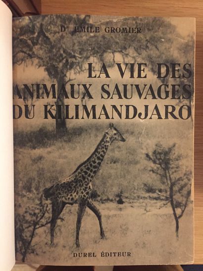 GRANDE CHASSE GRANDE CHASSE. AFRIQUE.— GROMIER. Fîl éléphant du Tchad. 1948.– La...