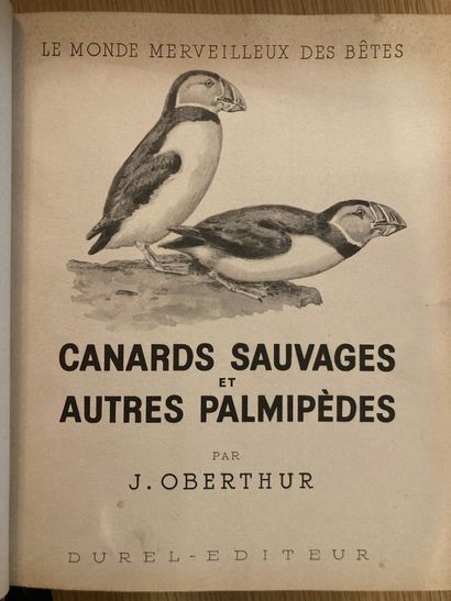 OBERTHUR OBERTHÜR. Canards sauvages et autres palmipèdes. Paris, Durel, 1948 ; 2...