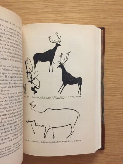 CHASSE HUNTING.- THEVENIN. The small carnivores of Europe. 1952 - SCHMOOK. Life and...