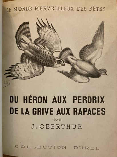 OBERTHUR OBERTHÜR. Du héron aux perdrix, de la grive aux rapaces. Paris, Durel, 1954 ;...