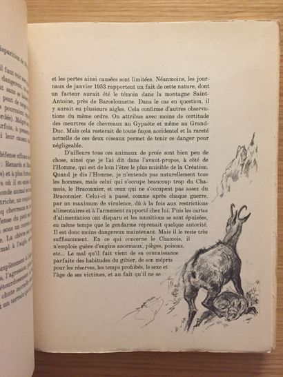 Eblé ÉBLÉ. Gibiers d’Europe. La chasse de montagne. Paris, Plon, 1955 ; in-8, broché....