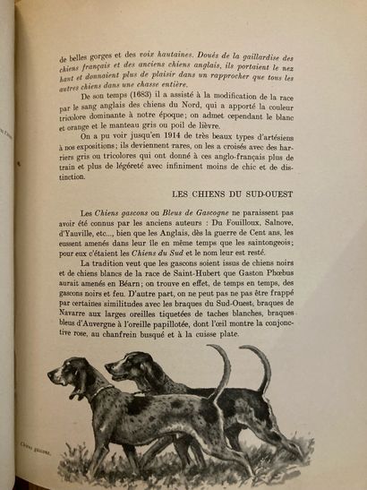 OBERTHUR OBERTHÜR. The dog. Ses origines, son évolution. Paris, Durel, 1949; 2 volumes...