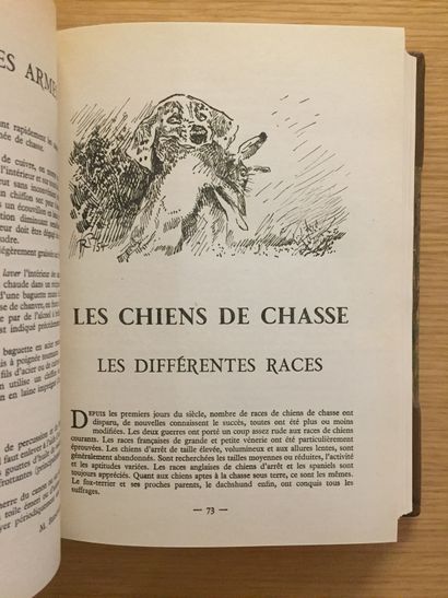 CHASSE À TIR HUNTING WITH SHOOTING - PASTOREL. Hunters!... if you knew? "Advice to...