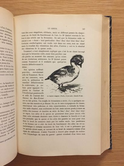 TERNIER & MASSE TERNIER & MASSE. Les canards sauvages et leurs congénères. Paris,...