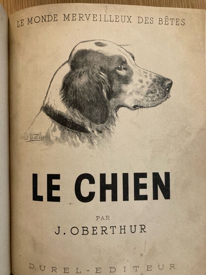 OBERTHUR OBERTHÜR. Le chien. Ses origines, son évolution. Paris, Durel, 1949 ; 2...